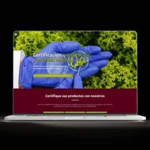 Sitios Web Empresarial
