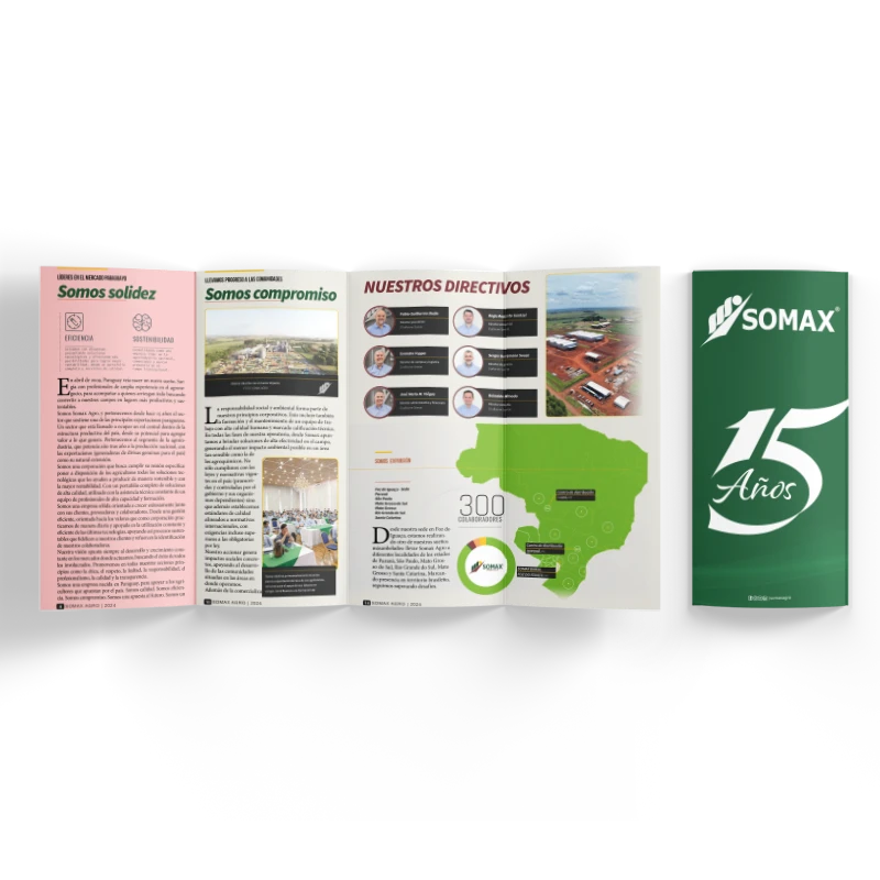 Trípticos 🔵 Estándar - Imagen 3